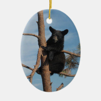 Bear Cub In A Tree Ceramic Ornament