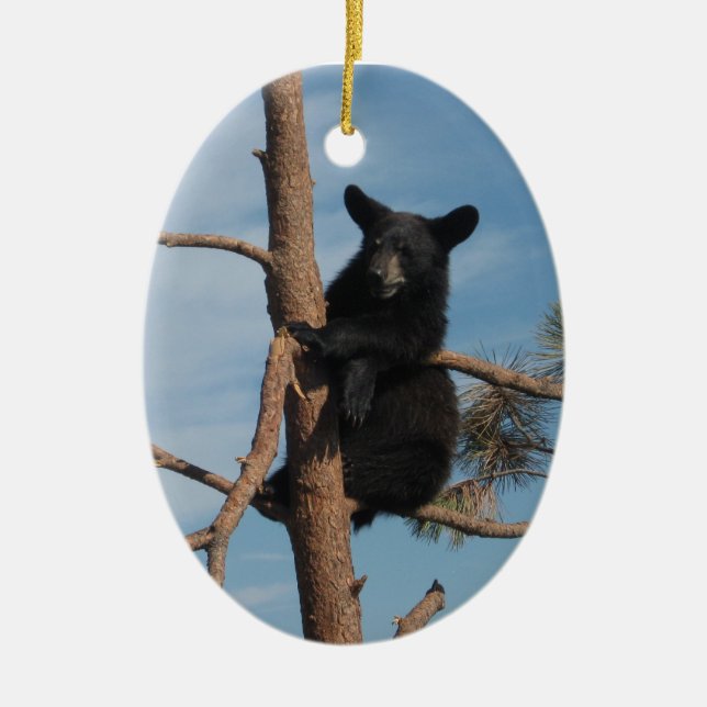 Bear Cub In A Tree Ceramic Ornament (Front)