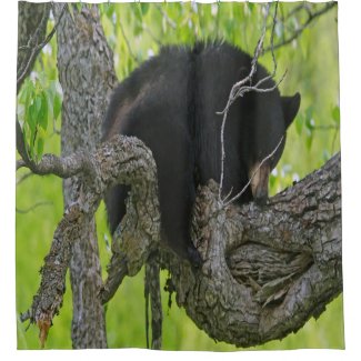 Bear Cub in a tree Shower Curtain