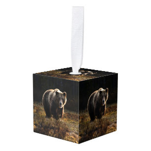 Bear Cube Ornament