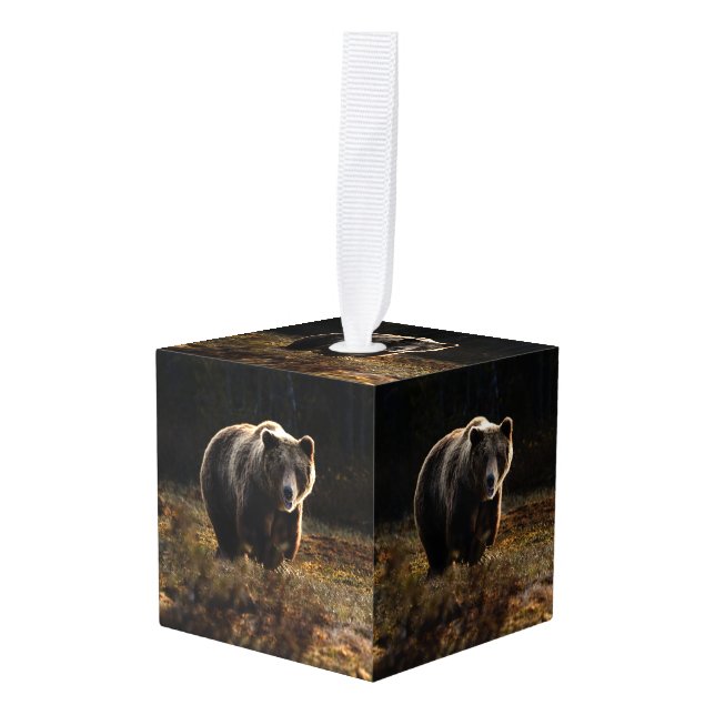 Bear Cube Ornament (Front Angled)
