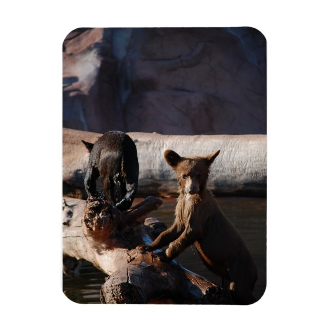 Bear Cubs in Water Magnet (Vertical)
