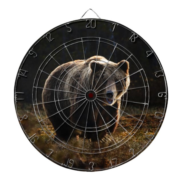 Bear Dart Board (Front)