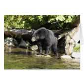 Bear Design for Animal and Wildlife-Supporters (Front Horizontal)