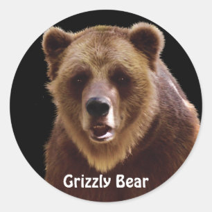 Bear Design for Animal and Wildlife-Supporters Classic Round Sticker