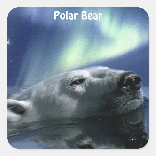 Bear Design for Animal and Wildlife-Supporters Square Sticker (Front)