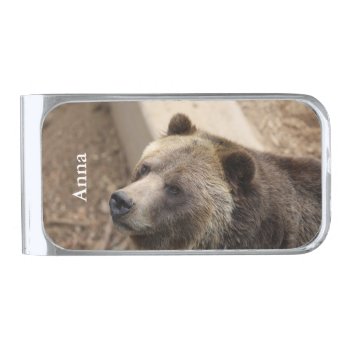 Bear Face Silver Finish Money Clip by Brookelorren at Zazzle
