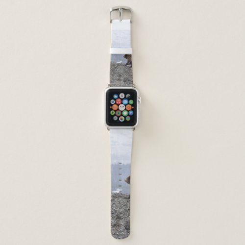 BEAR FAMILY IN YELLOWSTONE APPLE WATCH BAND