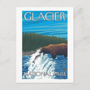 Bear Fishing in River - Glacier National Park, Postcard