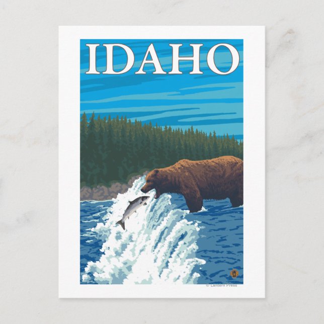 Bear Fishing in River - Idaho Postcard (Front)
