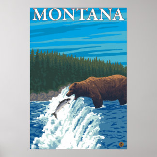 Bear Fishing in River - Montana Poster