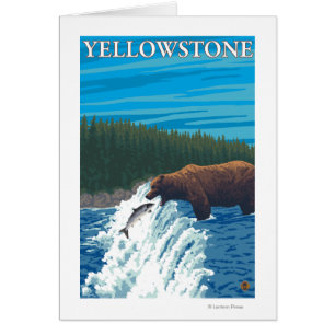 Bear Fishing in River - Yellowstone National Cards