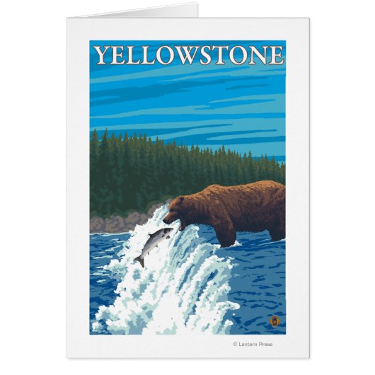 Bear Fishing in River - Yellowstone National Cards (Front)