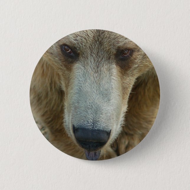 Bear Flair Button (Front)