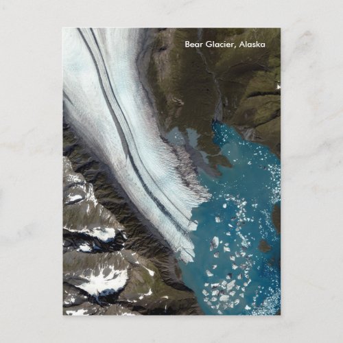 Bear Glacier in Alaska Postcard