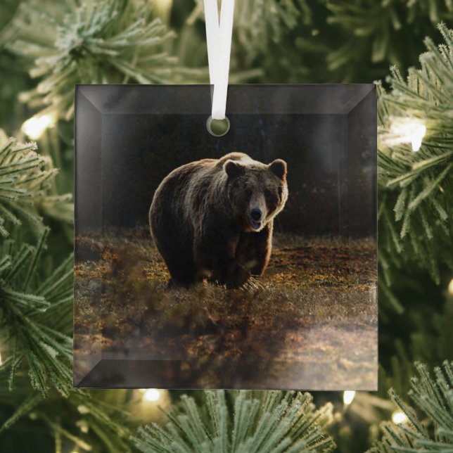 Bear Glass Ornament (Insitu)