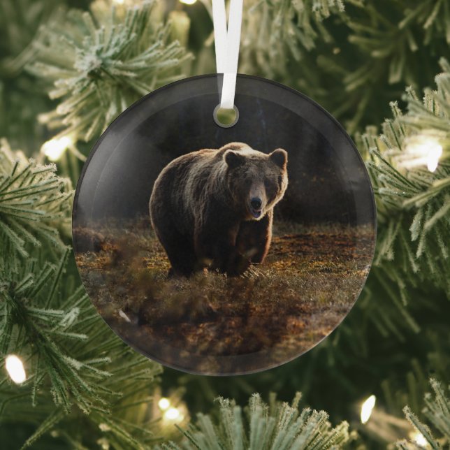 Bear Glass Ornament (Insitu)
