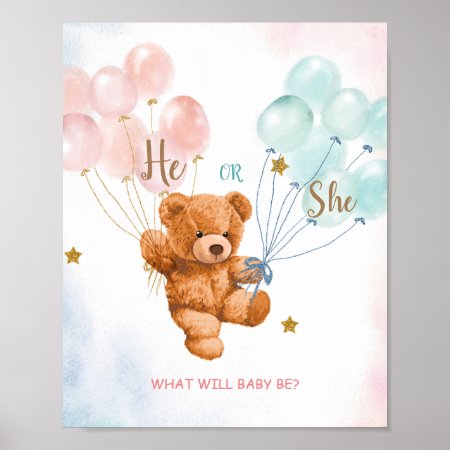 Bear He Or She Pink And Blue Balloon Welcome Sign