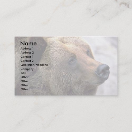 Bear Head Business Card Templates
