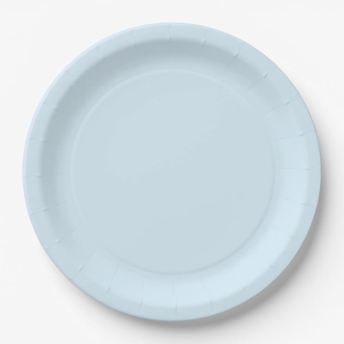 Bear Heart Collection _ Blue Paper Plates