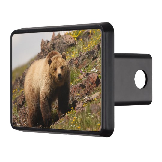 bear hitch cover