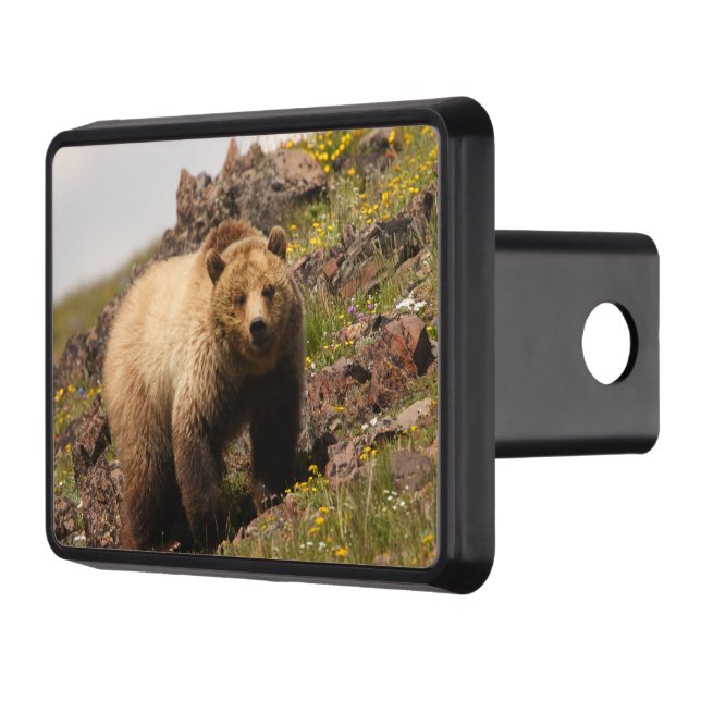 bear hitch cover (Left)