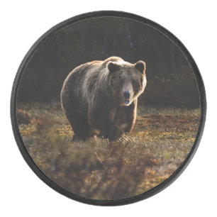 Bear Hockey Puck