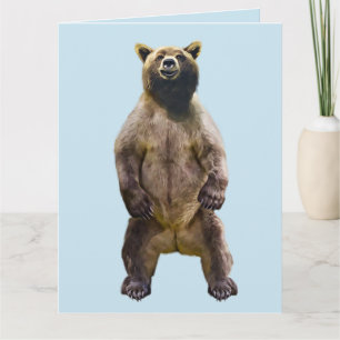 BEAR HUG GRIZZLY ANYTIME LOVE CARDS