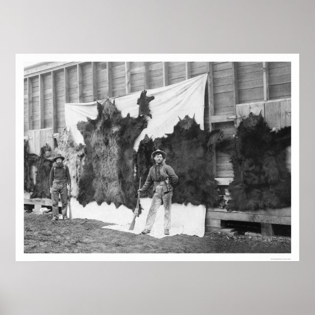 Bear Hunting Alaska 1906 Poster (Front)