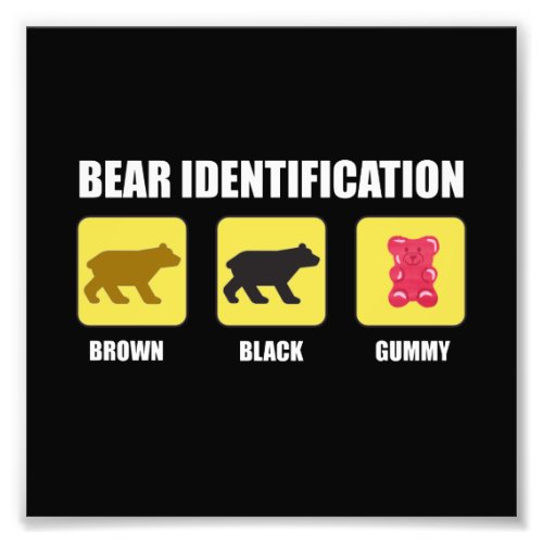 Bear Identification Funny Photo Print