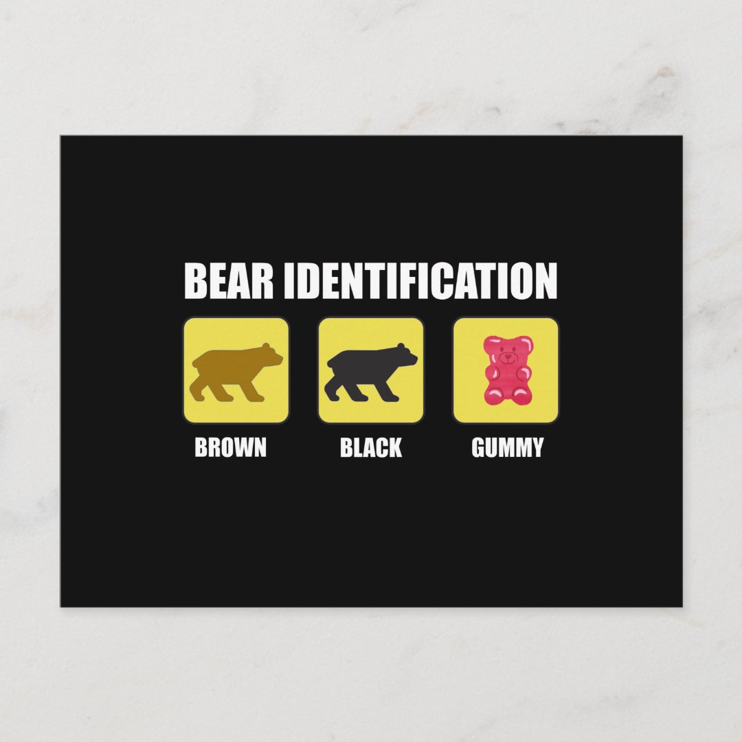 Bear Identification Funny Postcard | Zazzle