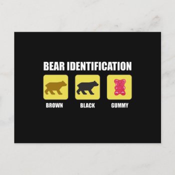 Bear Identification Funny Postcard by Spot_Of_Tees at Zazzle