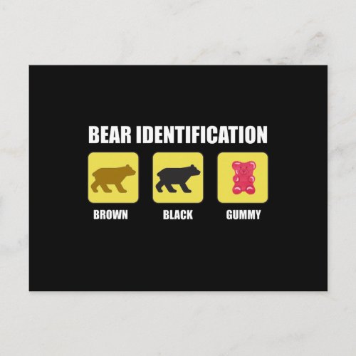Bear Identification Funny Postcard