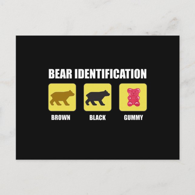 Bear Identification Funny Postcard (Front)