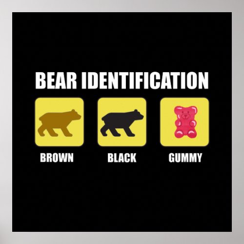 Bear Identification Funny Poster