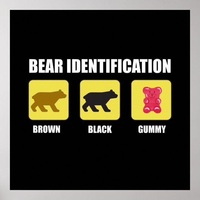 Bear Identification Funny Poster (Front)