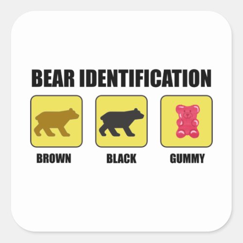 Bear Identification Funny Square Sticker