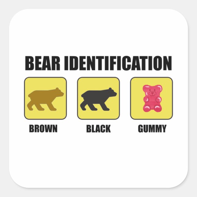 Bear Identification Funny Square Sticker (Front)