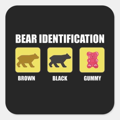 Bear Identification Funny Square Sticker