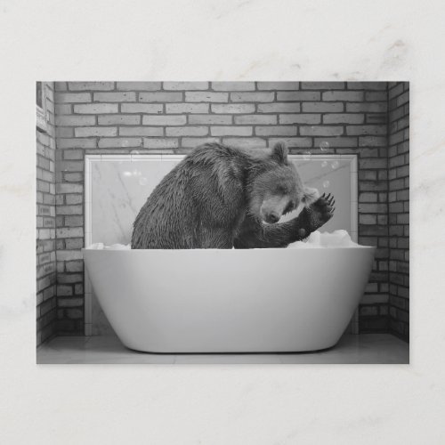 Bear  in Bathtub Bubble bath Animal Postcard