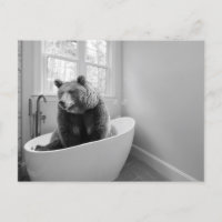 Bear  in Bathtub Bubble bath  