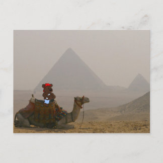 'Bear in Egypt' Postcard