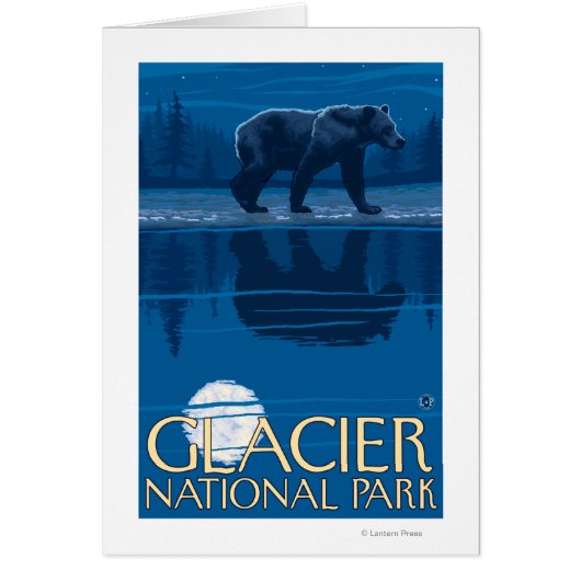 Bear in Moonlight - Glacier National Park, MT (Front)