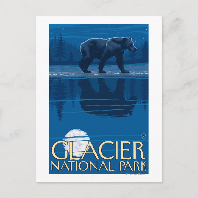 Bear in Moonlight - Glacier National Park, MT Postcard (Front)