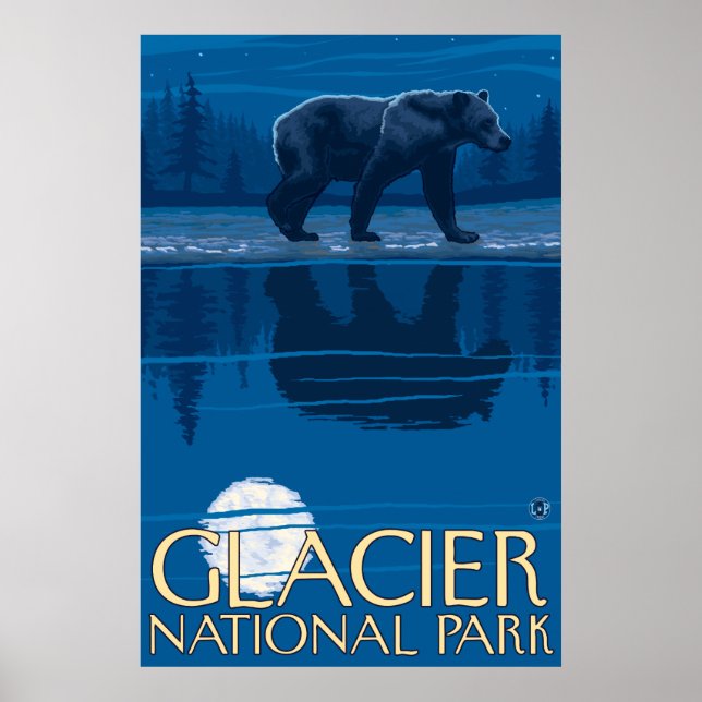 Bear in Moonlight - Glacier National Park, MT Poster (Front)