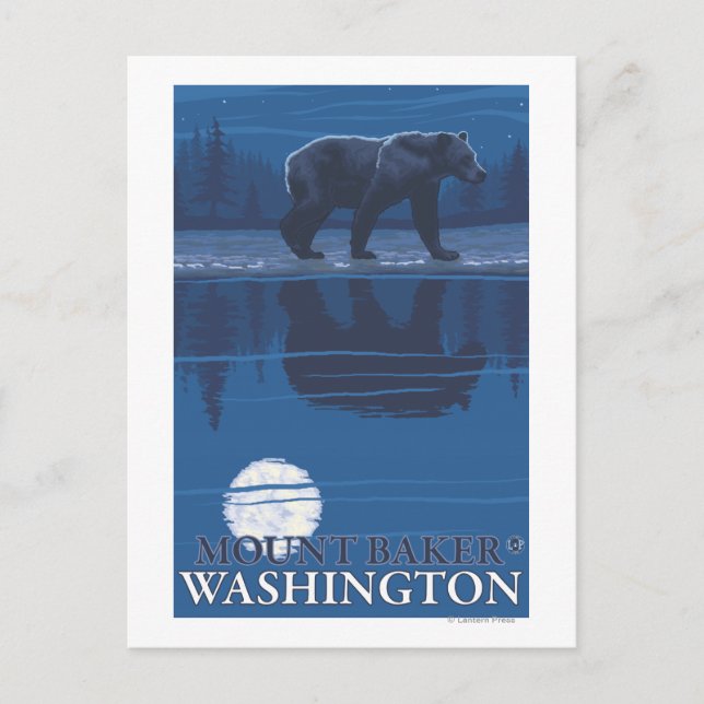 Bear in Moonlight - Mount Baker, Washington Postcard (Front)