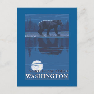 Bear in Moonlight - North Cascades, Washington Postcard