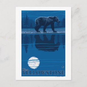 Bear in Moonlight - West Yellowstone, Montana Postcard
