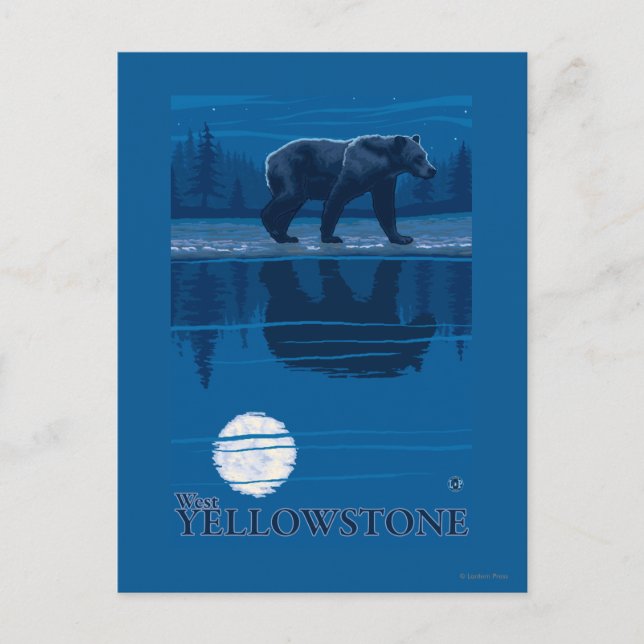 Bear in Moonlight - West Yellowstone, Montana Postcard (Front)