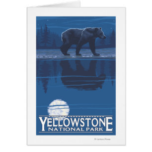 Bear in Moonlight - Yellowstone National Park Cards